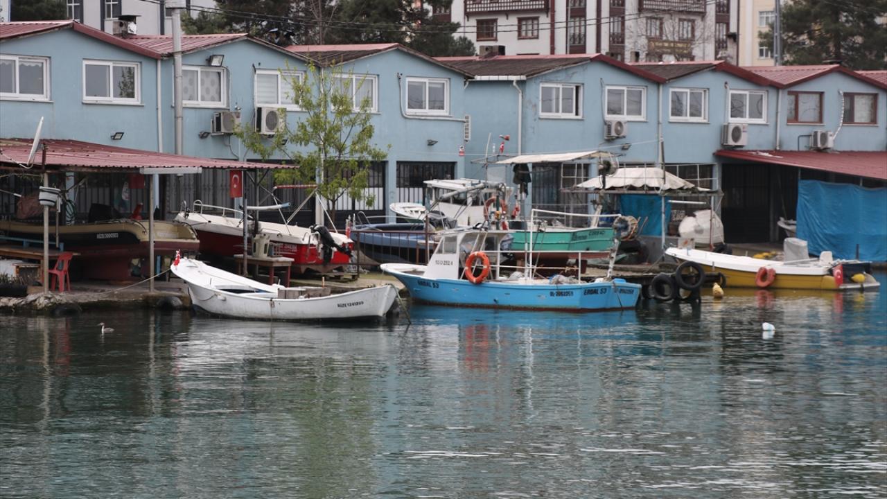Foto - Karadenizli balıkçılar sezonu değerlendirdi! Palamut üzdü, hamsi mutlu etti