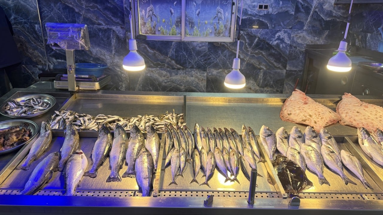 Foto - Karadenizli balıkçılar sezonu değerlendirdi! Palamut üzdü, hamsi mutlu etti