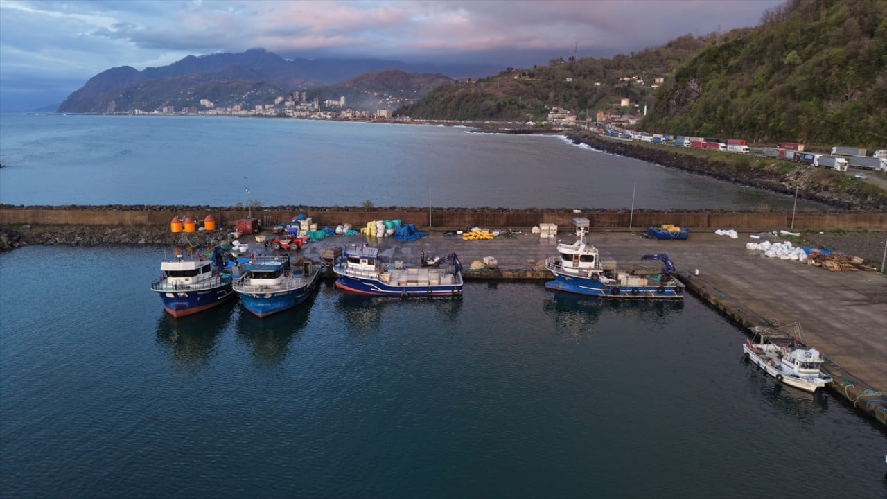 Foto - Karadenizli balıkçılar sezonu değerlendirdi! Palamut üzdü, hamsi mutlu etti