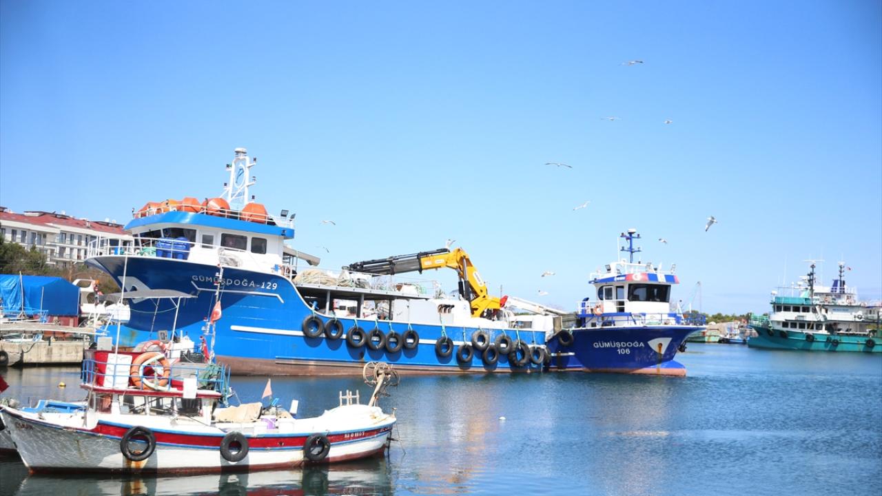 Foto - Karadenizli balıkçılar sezonu değerlendirdi! Palamut üzdü, hamsi mutlu etti