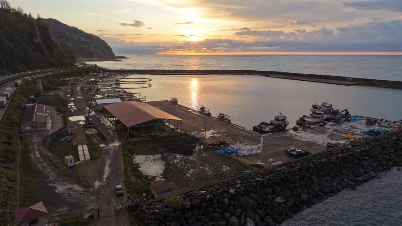 Foto - Karadenizli balıkçılar sezonu değerlendirdi! Palamut üzdü, hamsi mutlu etti