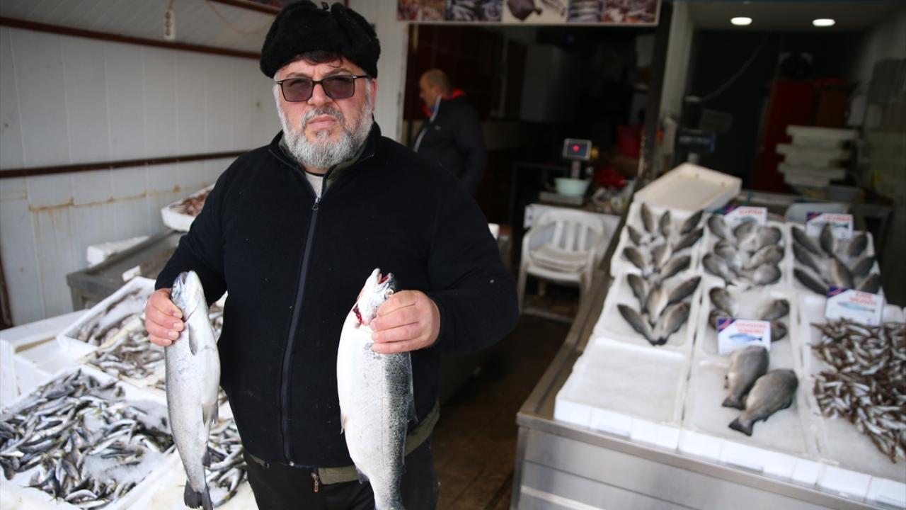 Foto - Karadenizli balıkçılar sezonu değerlendirdi! Palamut üzdü, hamsi mutlu etti