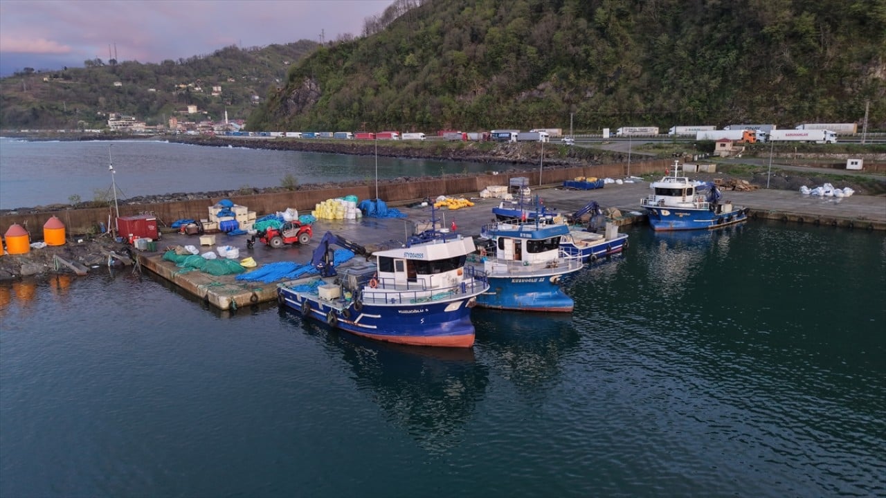Foto - Karadenizli balıkçılar sezonu değerlendirdi! Palamut üzdü, hamsi mutlu etti