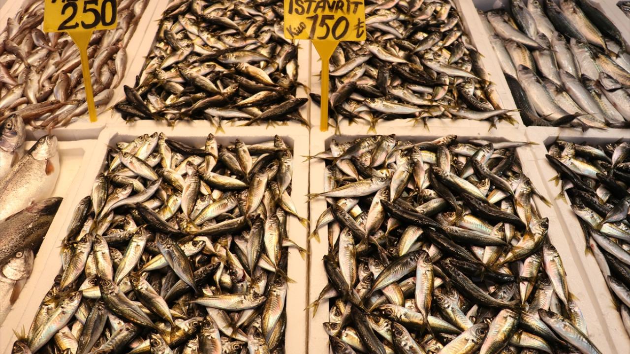 Foto - Karadenizli balıkçılar sezonu değerlendirdi! Palamut üzdü, hamsi mutlu etti