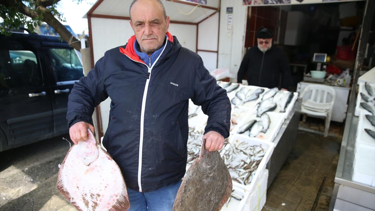 Foto - Karadenizli balıkçılar sezonu değerlendirdi! Palamut üzdü, hamsi mutlu etti