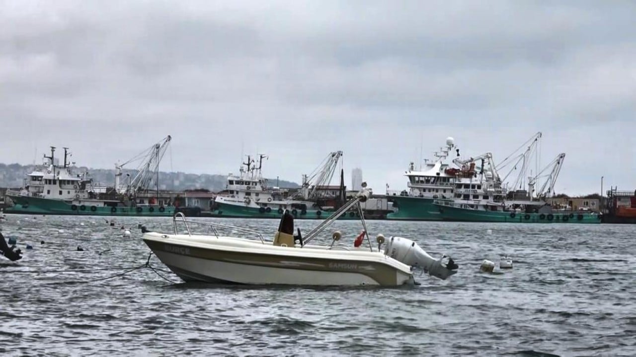 Foto - 'Karadenizli lüfer' kaçma yolunu buldu