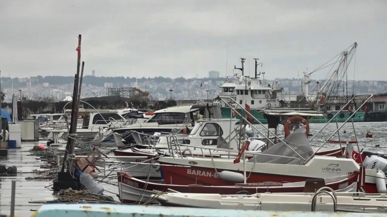 'Karadenizli lüfer' kaçma yolunu buldu