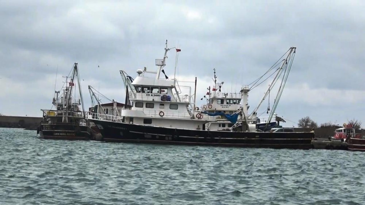 Foto - 'Karadenizli lüfer' kaçma yolunu buldu