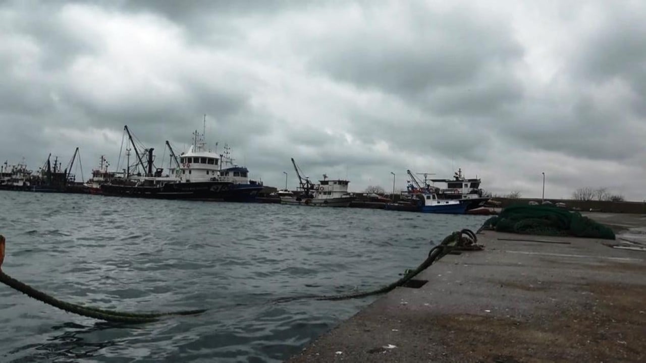 Foto - 'Karadenizli lüfer' kaçma yolunu buldu