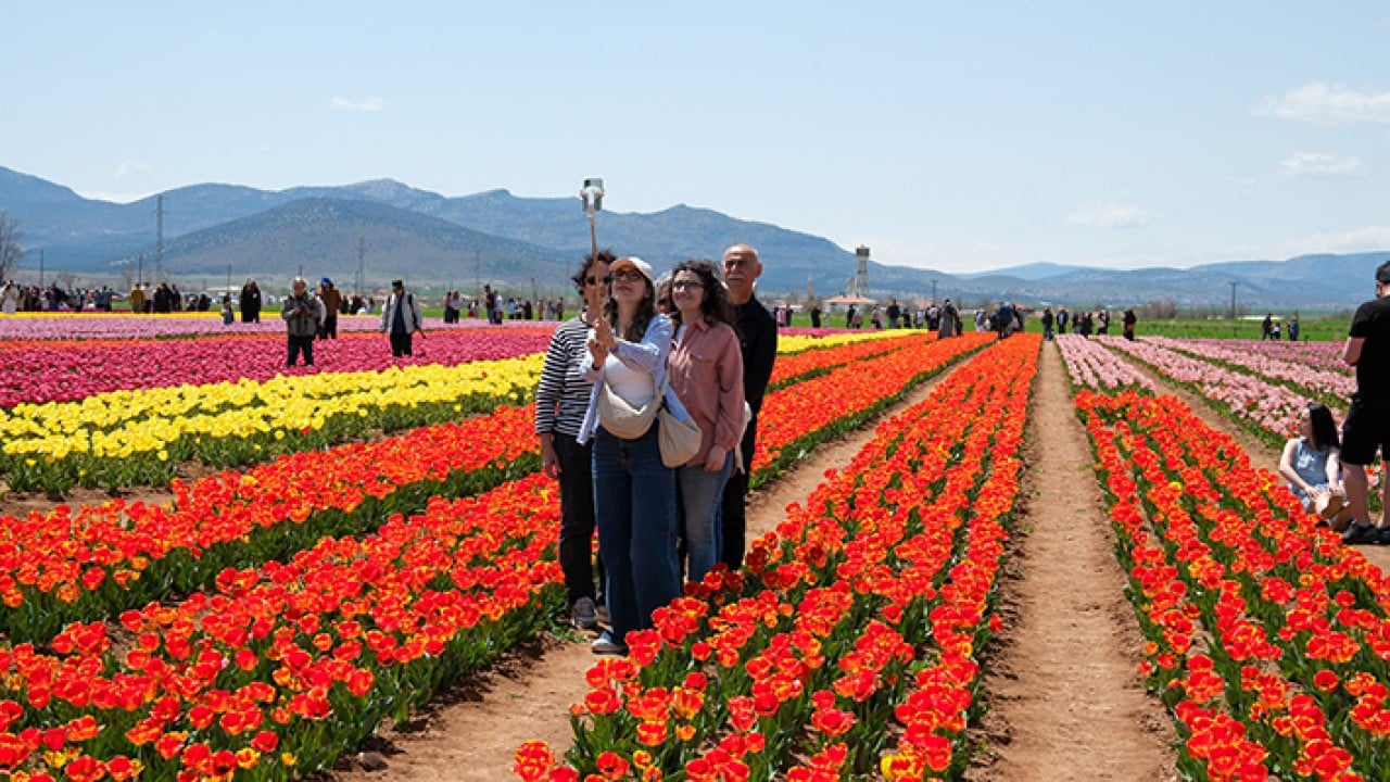 Foto - Karaman lale tarlalarıyla ziyaretçi çekiyor