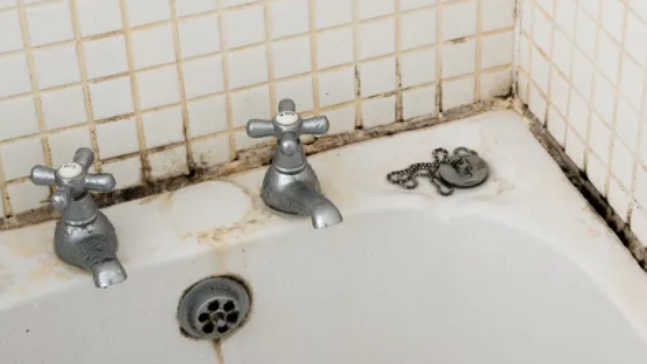 Foto - Kararmış dolguları kar beyazı yapan işte o müthiş ikili… Çamaşır suyunu çöpe attıran formül!