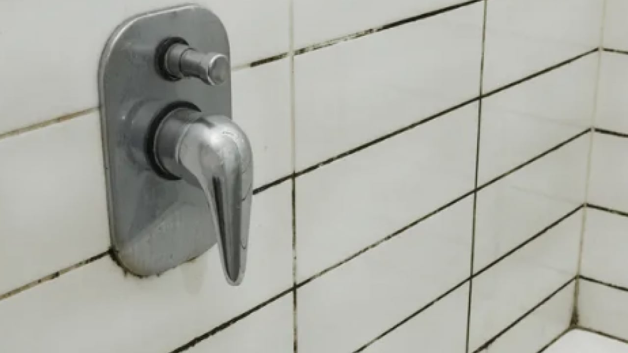 Foto - Kararmış dolguları kar beyazı yapan işte o müthiş ikili… Çamaşır suyunu çöpe attıran formül!