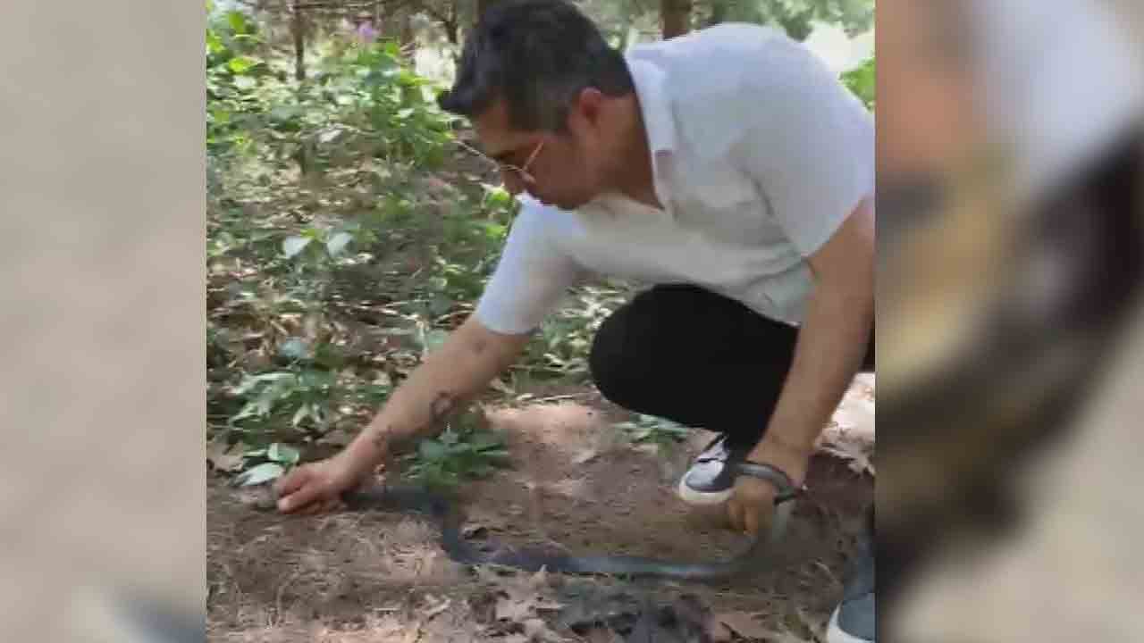 Foto - Karayılanı eliyle yakaladı: Bacağından ısırılsa da korkmadı!