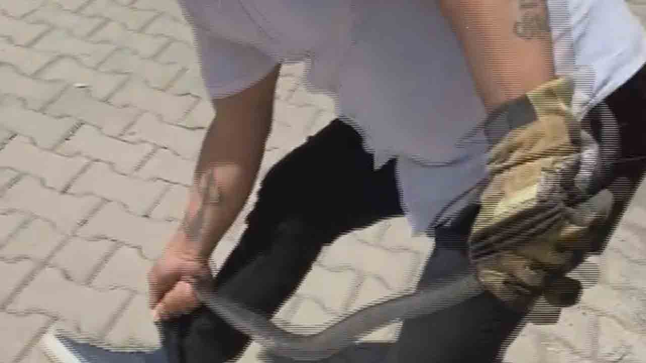 Foto - Karayılanı eliyle yakaladı: Bacağından ısırılsa da korkmadı!