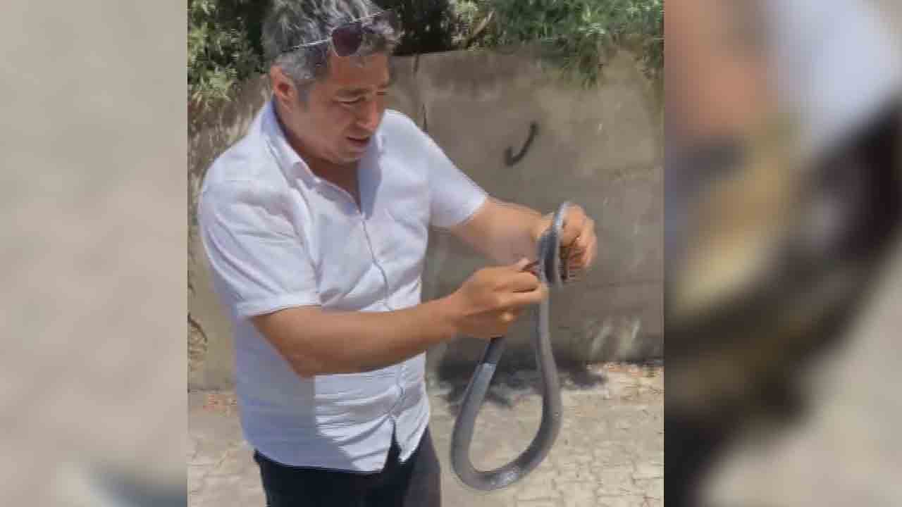 Foto - Karayılanı eliyle yakaladı: Bacağından ısırılsa da korkmadı!