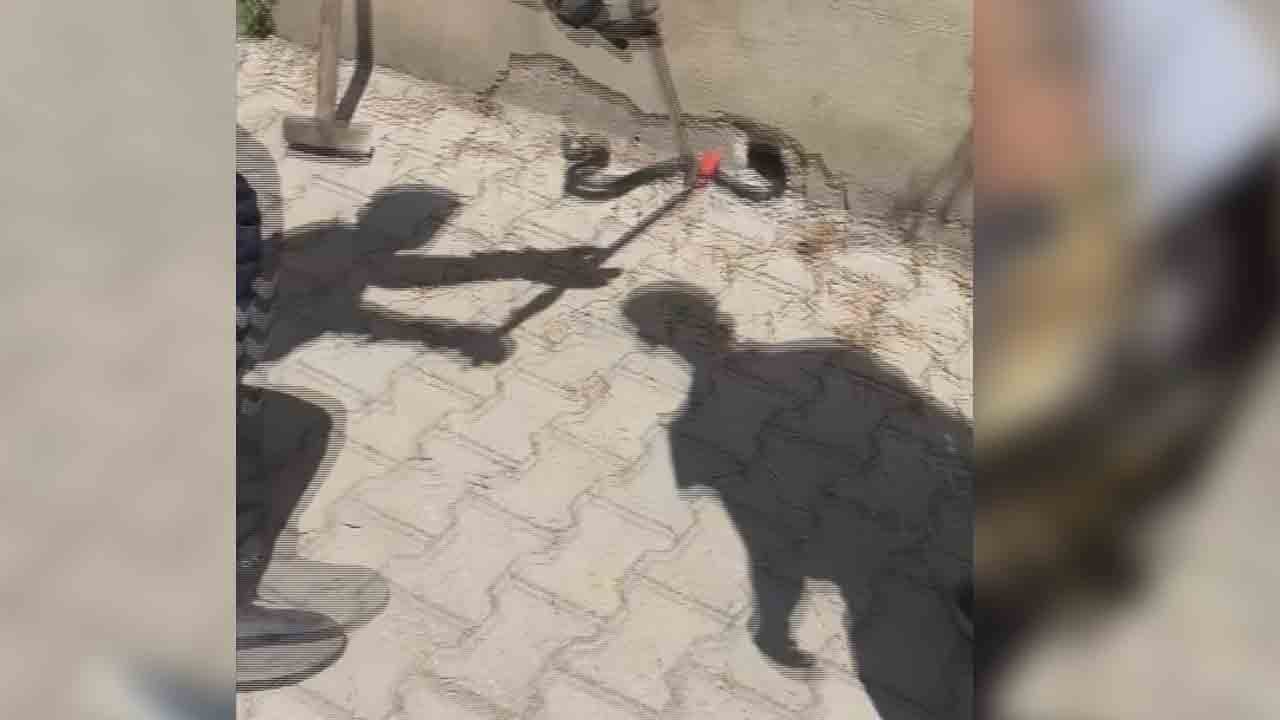 Foto - Karayılanı eliyle yakaladı: Bacağından ısırılsa da korkmadı!