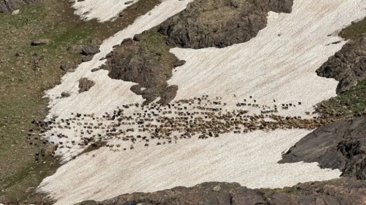 Foto - Kardan duvarı gören şaşırıyor! Temmuz ortasına karla savaş!