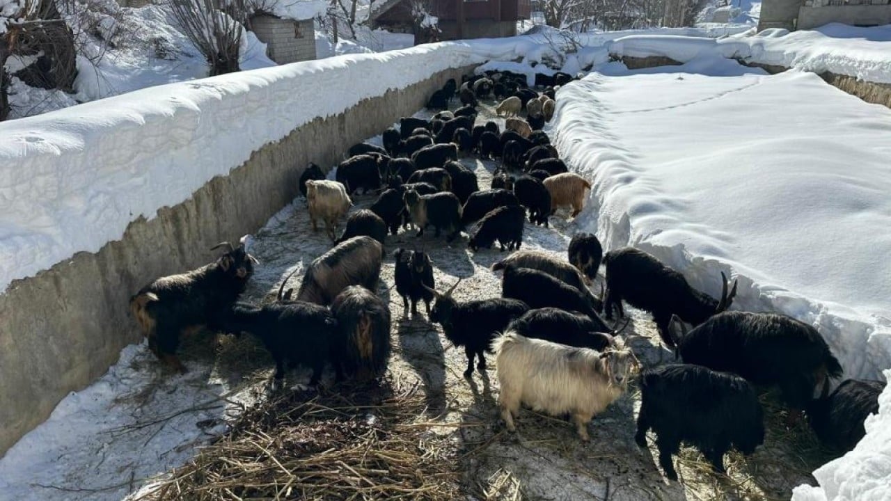 Foto - Kardan tünelde yaşam savaşı