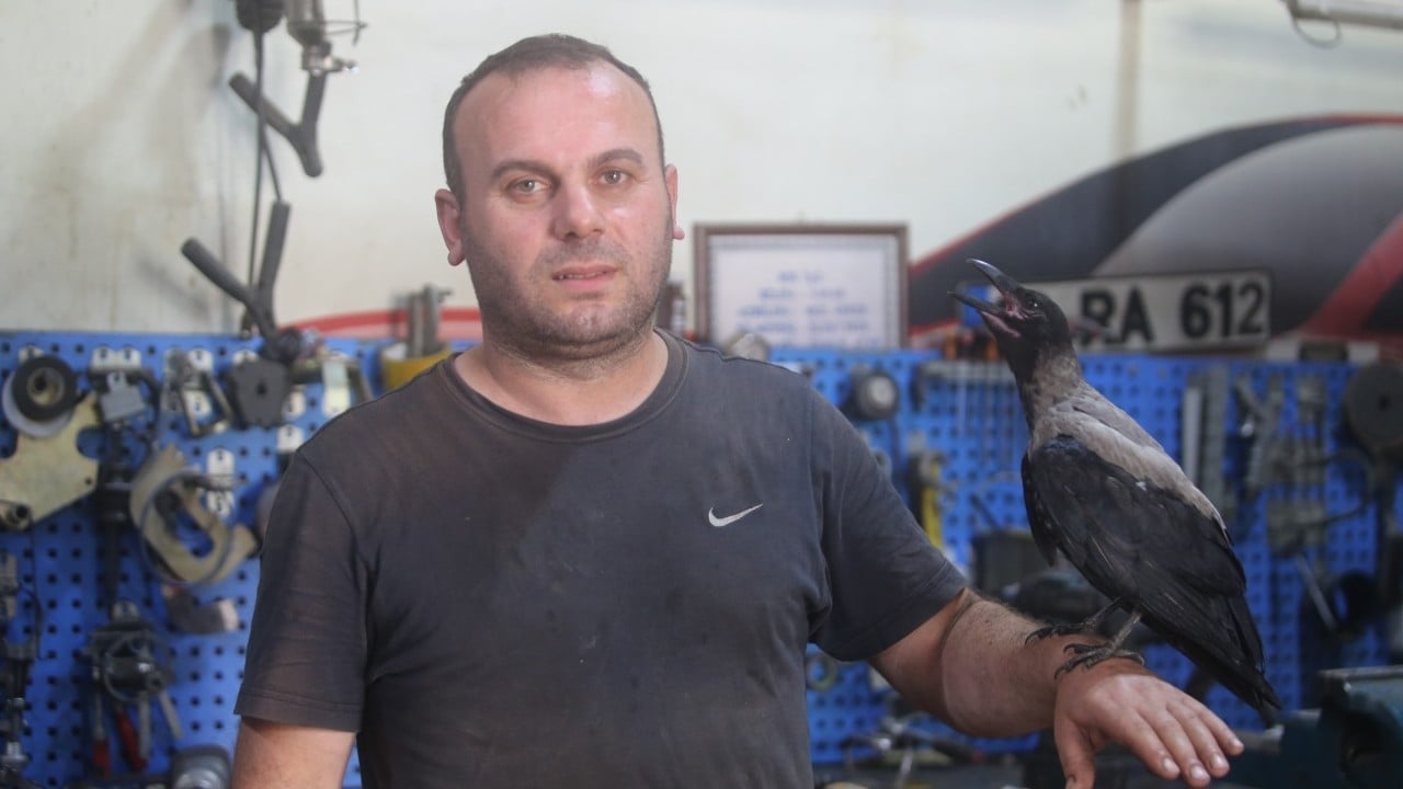 Foto - Karga ile dost oldu! 