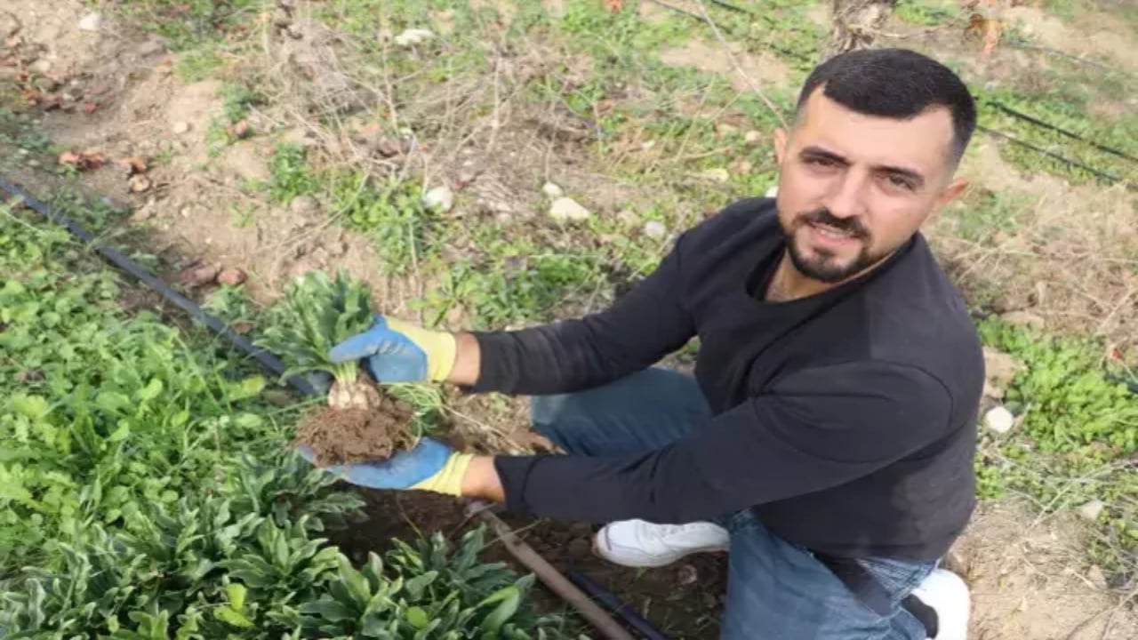 Kariyerini bıraktı, girdiği tarlada "beyaz altın" buldu: Şimdi dünyanın dört bir yanına göndermeye hazırlanıyor