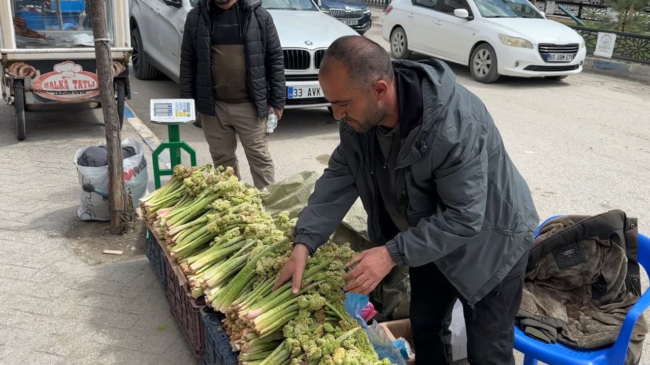 Foto - Karlar erimeden tezgaha çıktı! Yayla muzunun destesi 150 lira