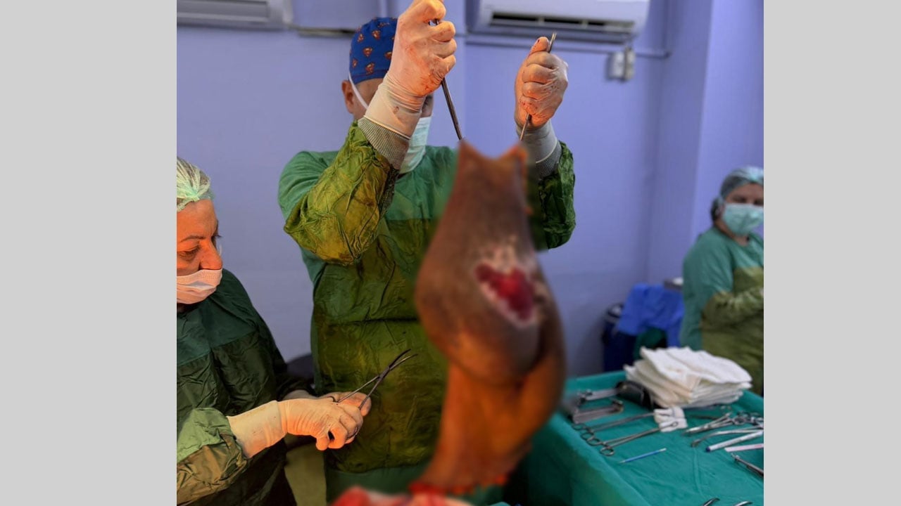 Foto - Karnından 40 kilogram kitle çıkarıldı! Bu kez sevinçten ağladı