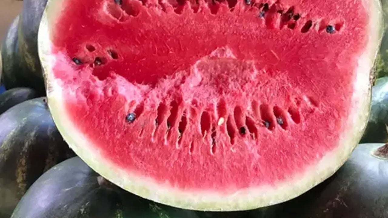 Foto - Karpuz alırken 2 kez düşünün... O belirti varsa aman dikkat: Karpuz seçerken sakın yapmayın uyarısı 