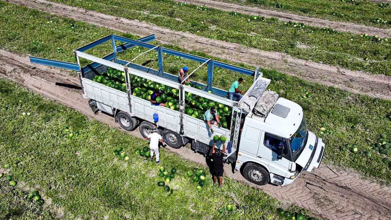 Foto - Karpuz düştü, talep uçtu: Adana karpuzu dünyaya açılıyor