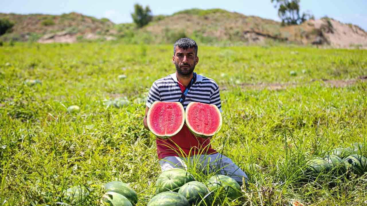 Foto - Karpuz düştü, talep uçtu: Adana karpuzu dünyaya açılıyor