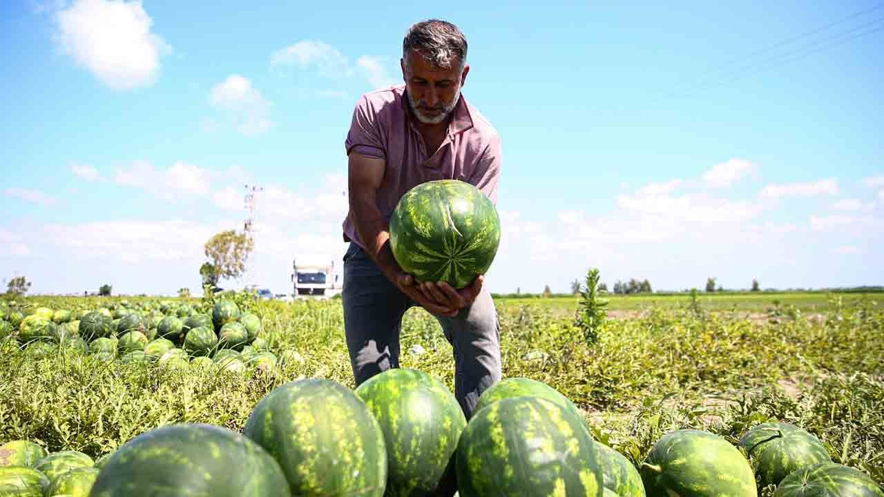 Foto - Karpuz düştü, talep uçtu: Adana karpuzu dünyaya açılıyor