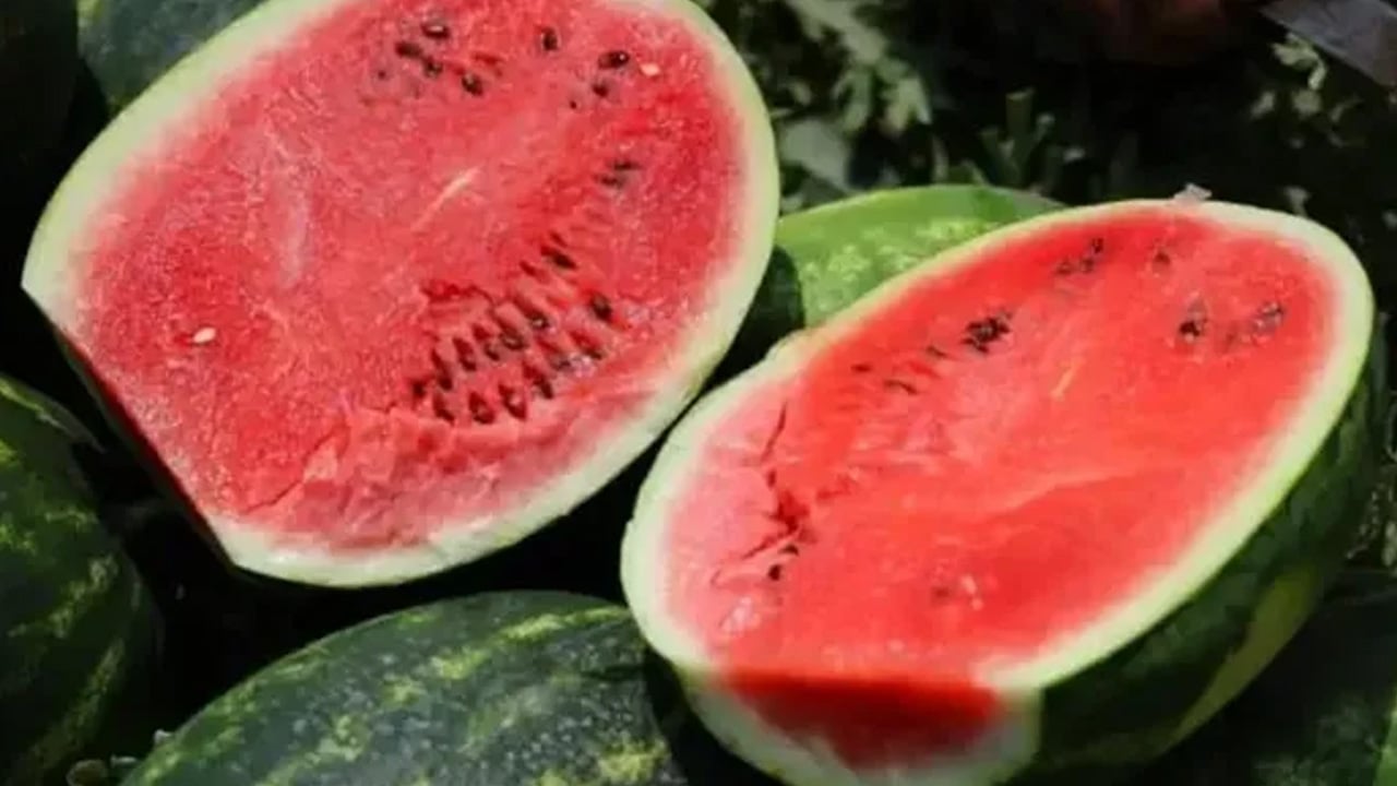Foto - Karpuz nasıl tüketilir? Bilim insanlarının ezber bozan sözleri... Merak uyandırdı