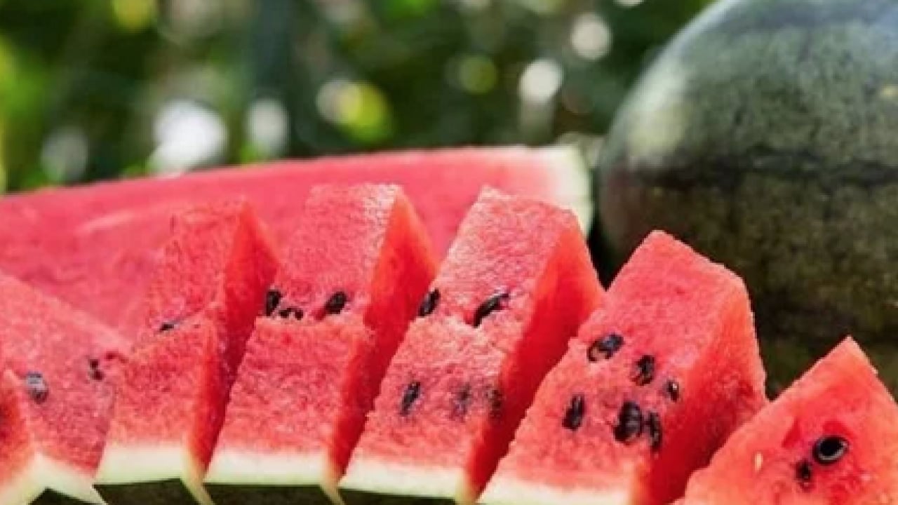 Karpuz yiyecek olanlar dikkat: Vazgeçilmez gıda karpuzda kritik uyarı! Serinlemek için bunu sakın yapmayın