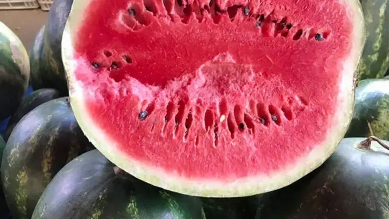 Foto - Karpuz yiyenler dikkat: Bilim insanları kötü haberi verdi