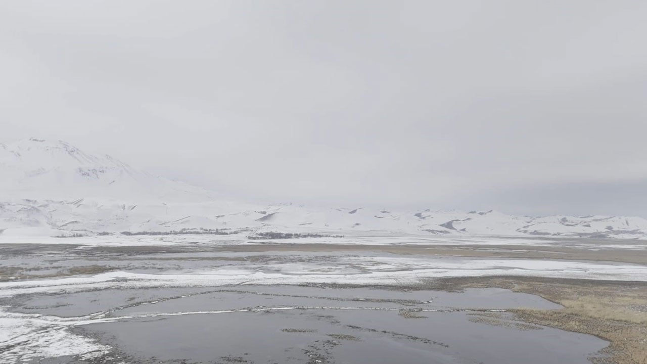Foto - Kartpostalı aratmayan görüntü! Sarısu sazlıkları ve Süphan Dağı aynı karede