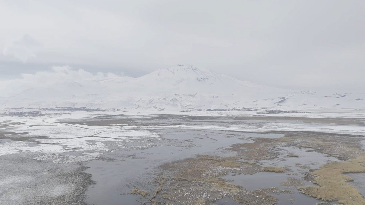 Kartpostalı aratmayan görüntü! Sarısu sazlıkları ve Süphan Dağı aynı karede