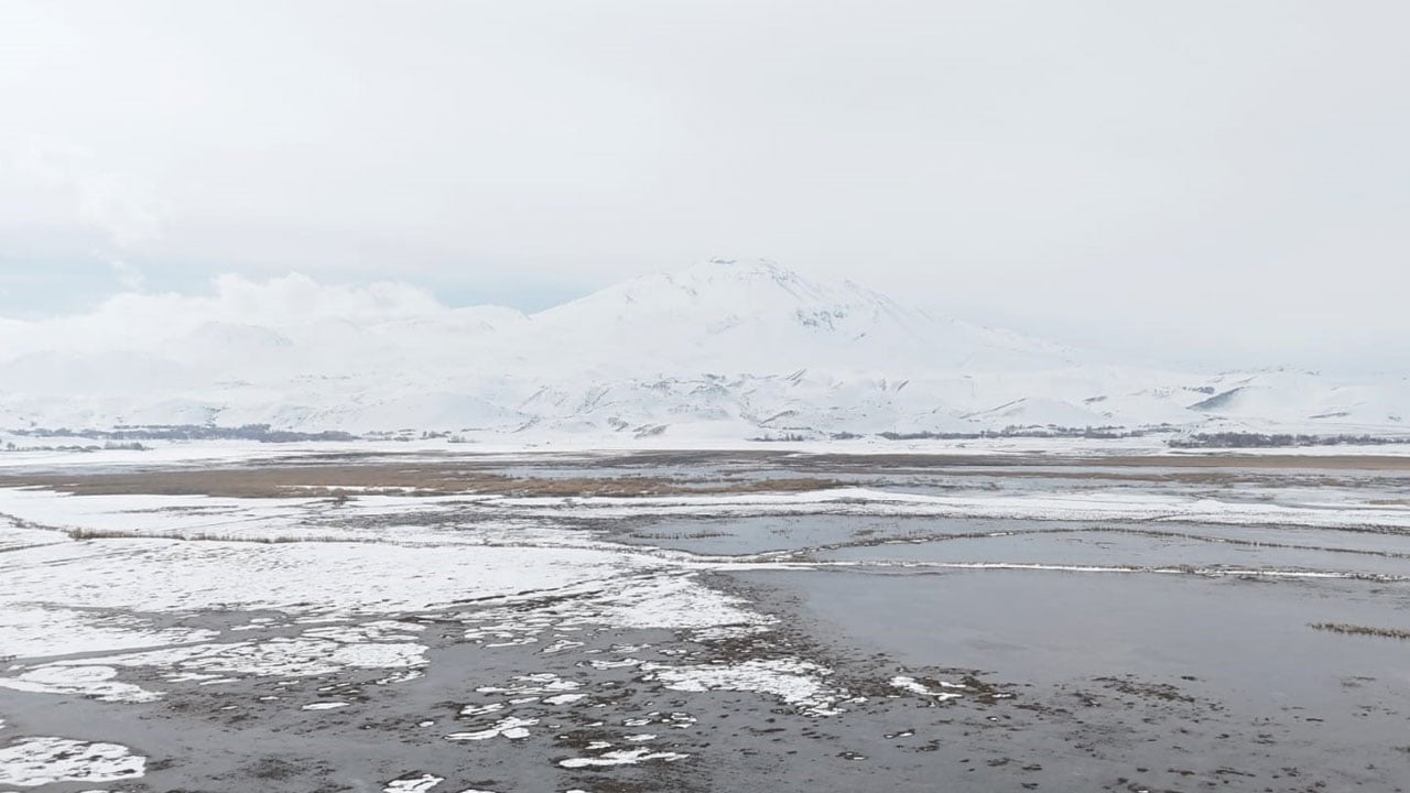 Foto - Kartpostalı aratmayan görüntü! Sarısu sazlıkları ve Süphan Dağı aynı karede