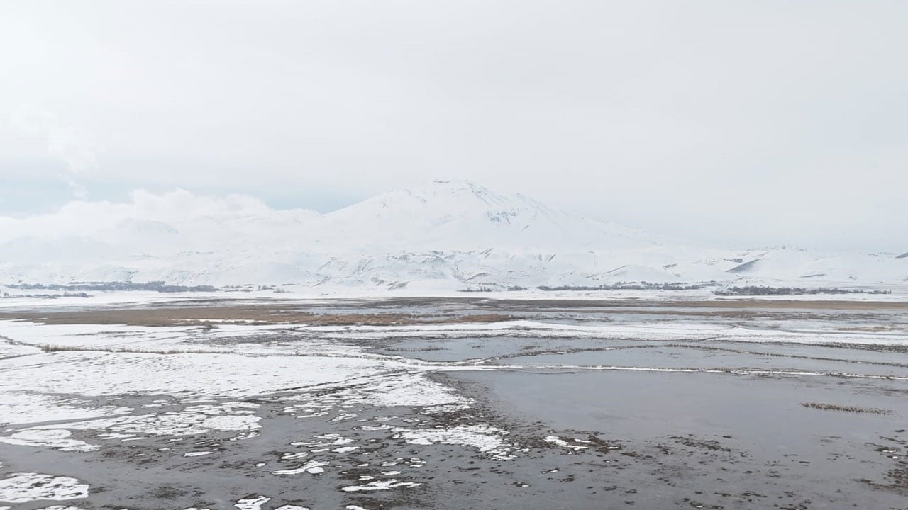 Foto - Kartpostalı aratmayan görüntü! Sarısu sazlıkları ve Süphan Dağı aynı karede