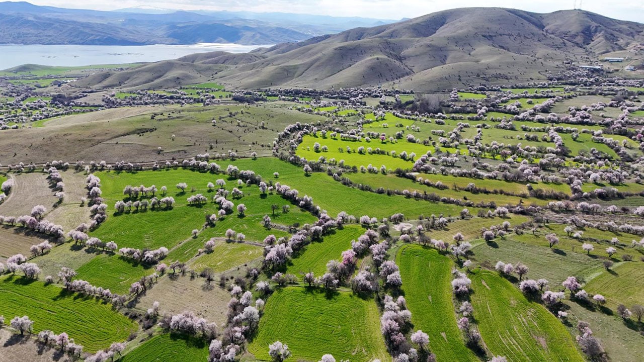 Foto - Kartpostallık görüntü! Baharın en güzel hali