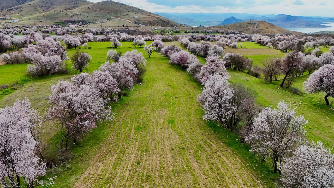 Foto - Kartpostallık görüntü! Baharın en güzel hali