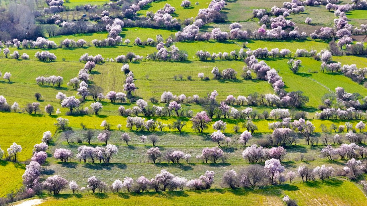 Foto - Kartpostallık görüntü! Baharın en güzel hali