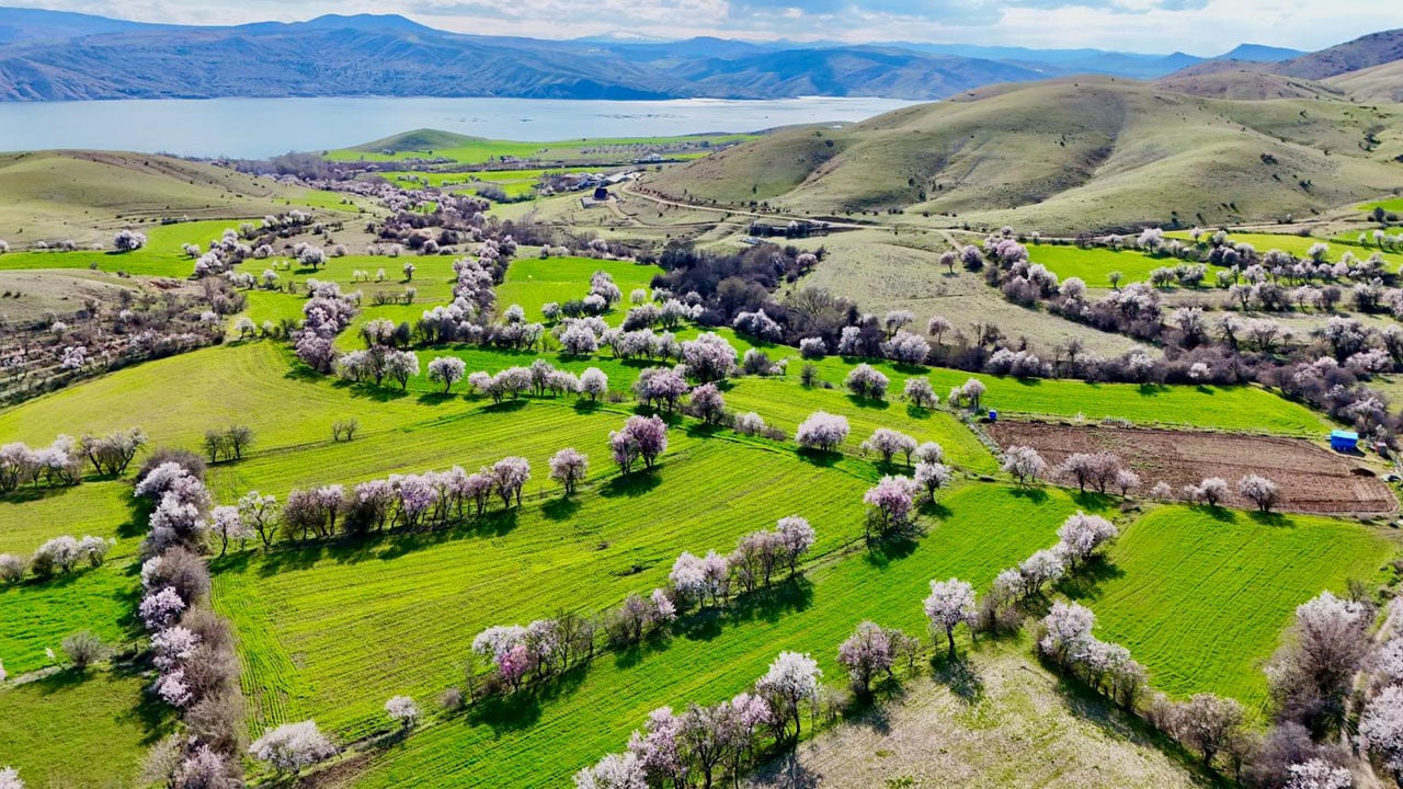 Kartpostallık görüntü! Baharın en güzel hali