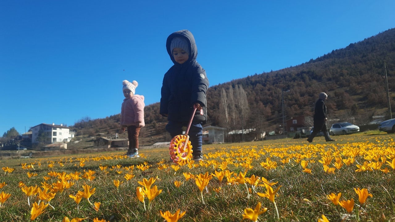 Foto - Kartpostallık görüntü! Baharın rengi yaylaya yayıldı