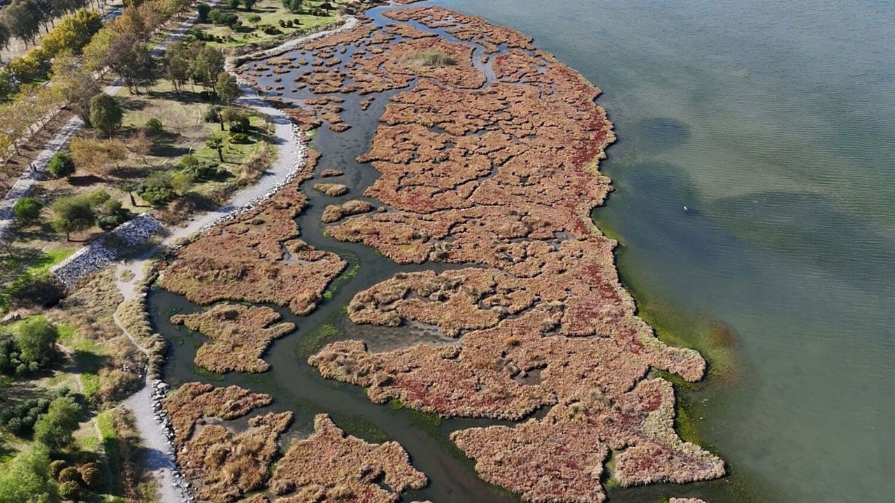 Foto - Kartpostallık manzara! Çakalburnu Lagünü sonbaharda bambaşka