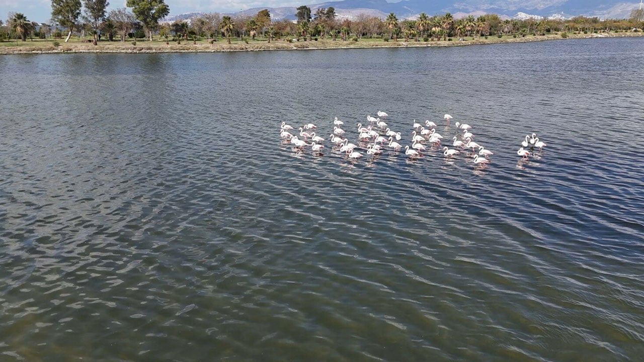 Foto - Kartpostallık manzara! Çakalburnu Lagünü sonbaharda bambaşka