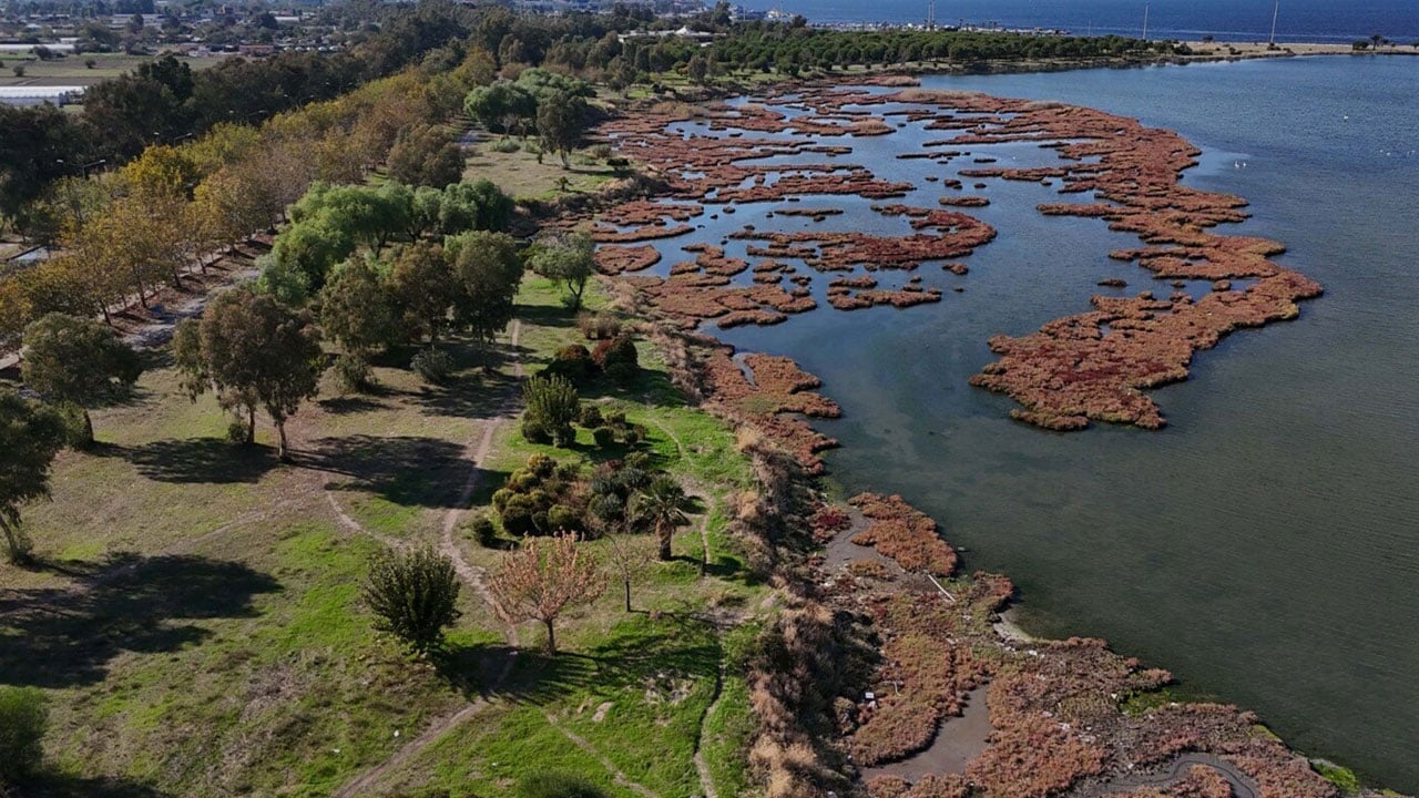 Foto - Kartpostallık manzara! Çakalburnu Lagünü sonbaharda bambaşka