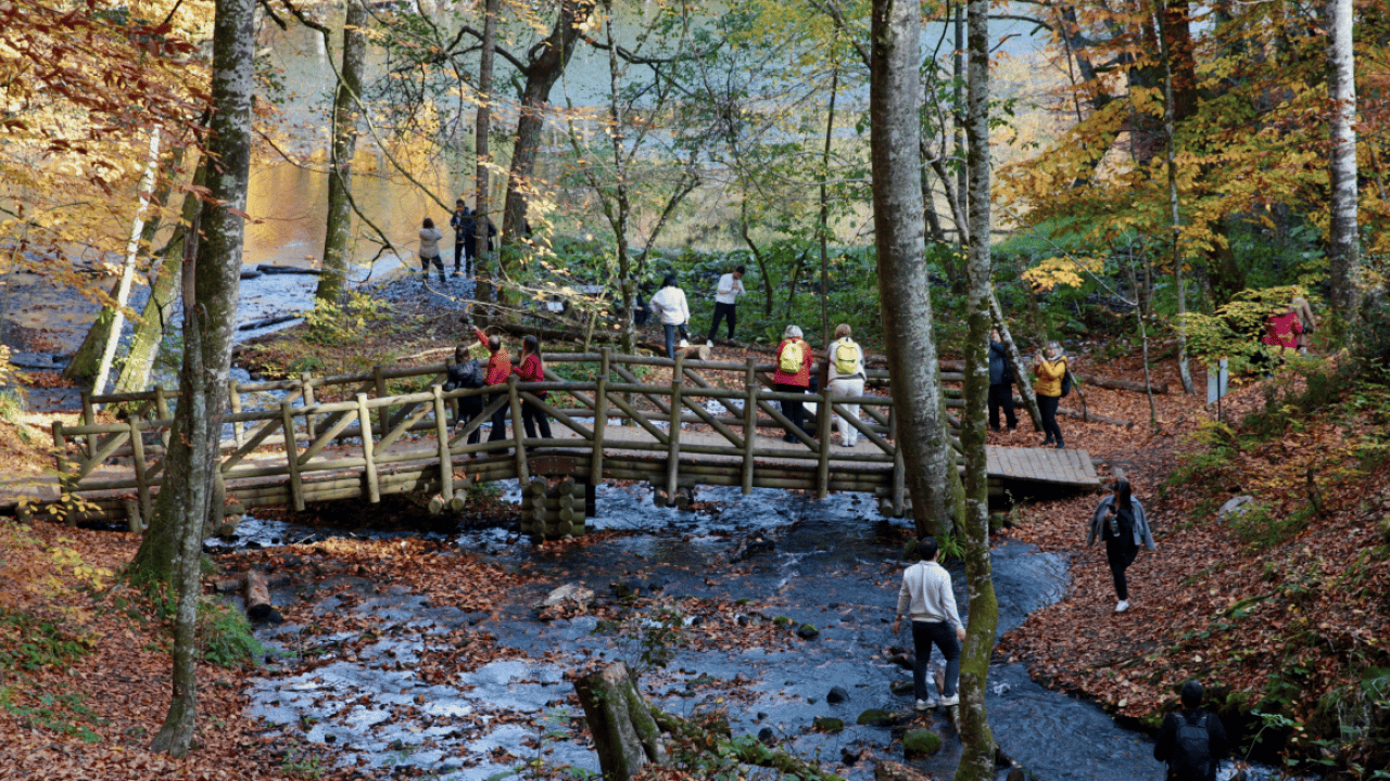 Foto - Kartpostallık manzara: Yedigöller Milli Parkı, sonbahar renkleriyle ziyaretçi akınına uğradı