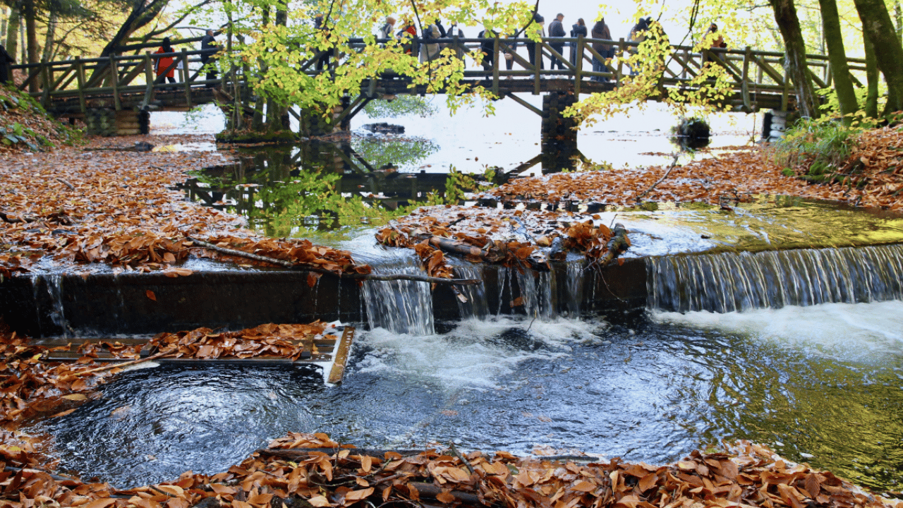 Foto - Kartpostallık manzara: Yedigöller Milli Parkı, sonbahar renkleriyle ziyaretçi akınına uğradı