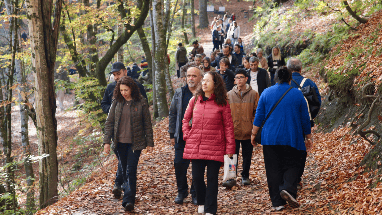 Foto - Kartpostallık manzara: Yedigöller Milli Parkı, sonbahar renkleriyle ziyaretçi akınına uğradı