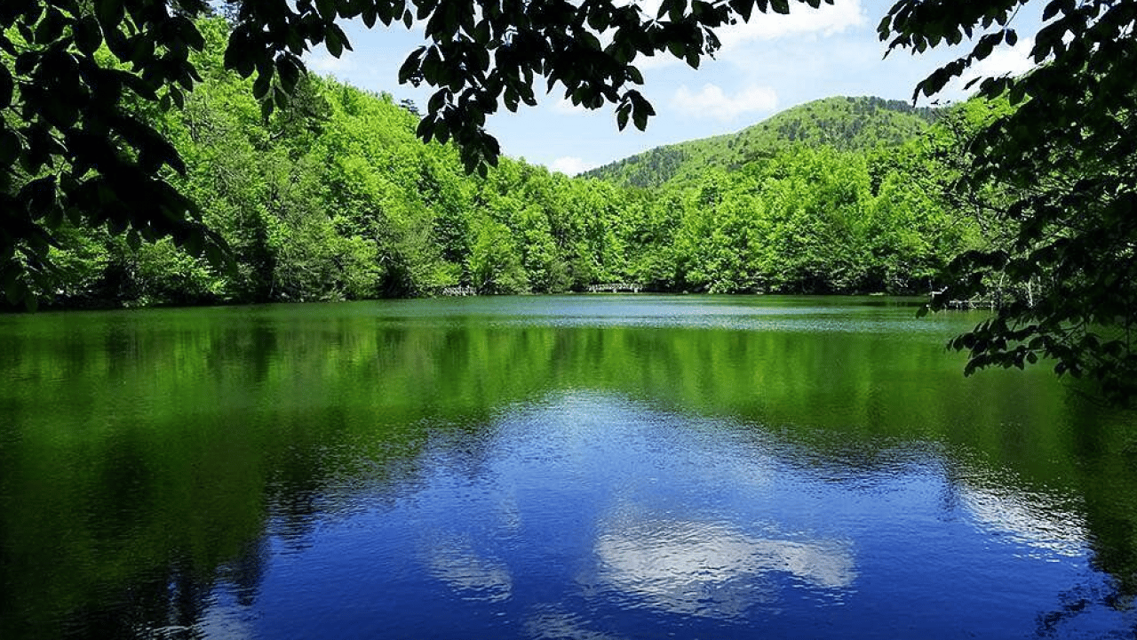 Foto - Kartpostallık manzara: Yedigöller Milli Parkı, sonbahar renkleriyle ziyaretçi akınına uğradı