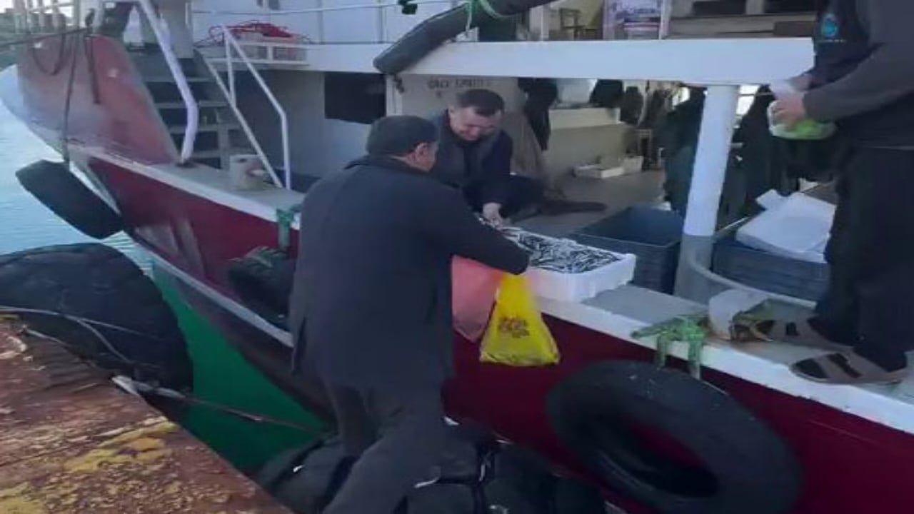 Foto - Kasa kasa balığı ücretsiz dağıttılar! Sebebi de bir o kadar ilginç